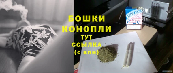 ALPHA PVP Заречный