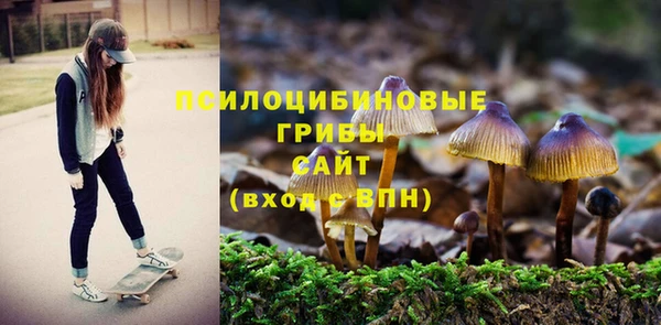 гашиш Заполярный