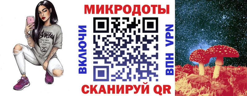 Псилоцибиновые грибы Cubensis Кимовск
