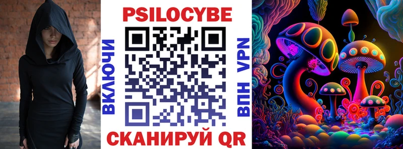 blacksprut вход  Кимовск  Галлюциногенные грибы MAGIC MUSHROOMS  наркота 
