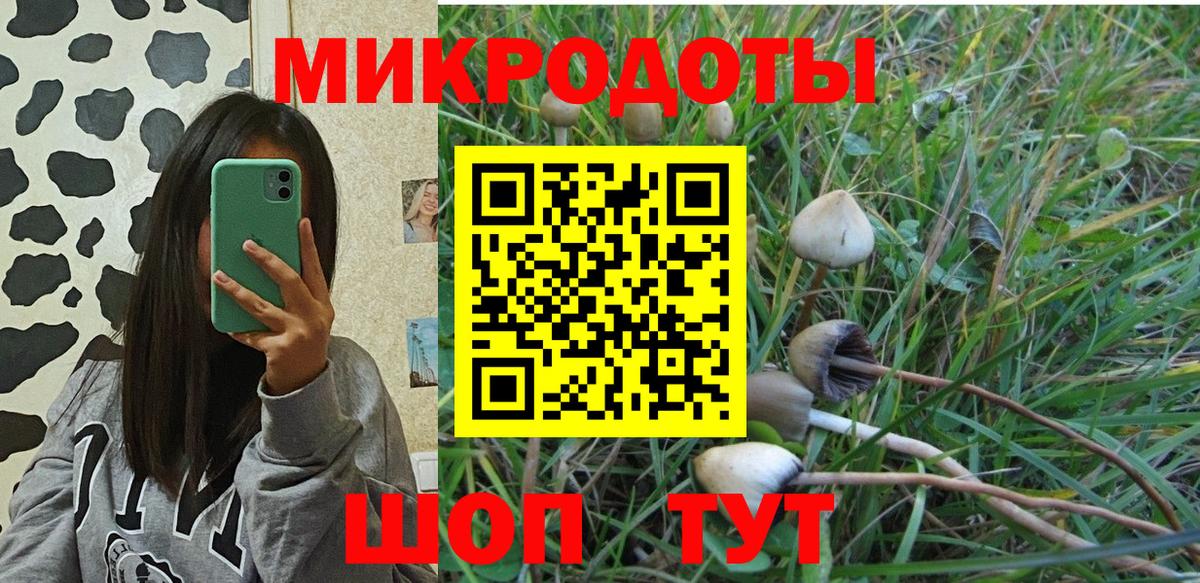 Псилоцибиновые грибы Psilocybe  Галлюциногенные грибы Cubensis  Кимовск  Вход с VPN 