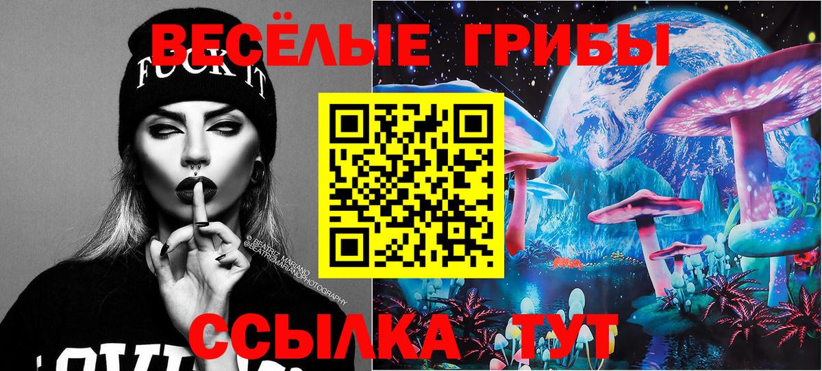 Галлюциногенные грибы MAGIC MUSHROOMS Кимовск