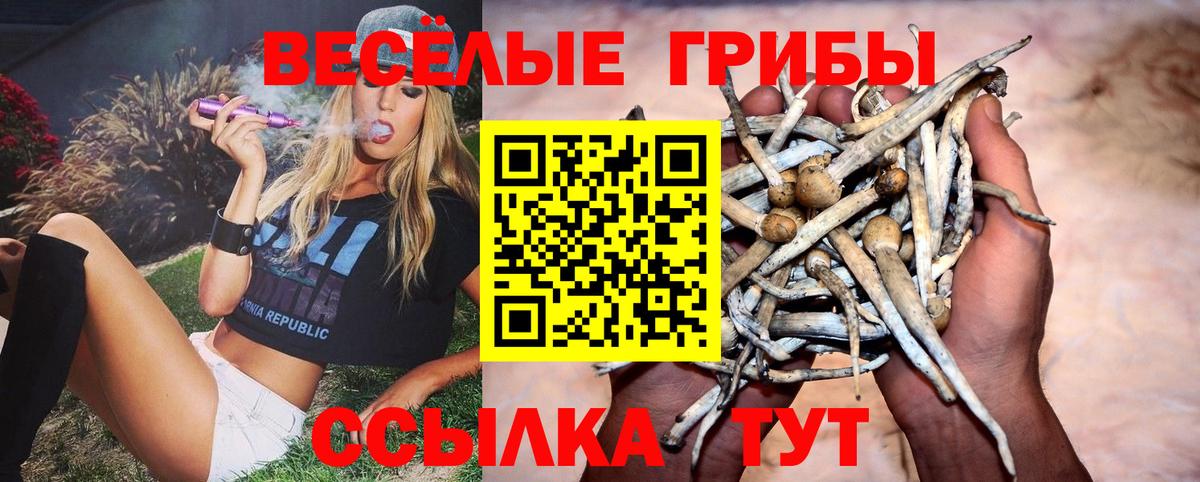 МЕФ  Ляпка  A-PVP  Кимовск  МЕФ  Где найти наркотики?  МДМА  COCAIN  Вход с VPN  МАРИХУАНА 
