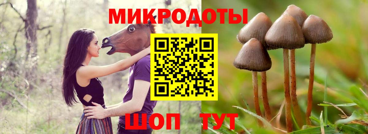 Псилоцибиновые грибы GOLDEN TEACHER Кимовск